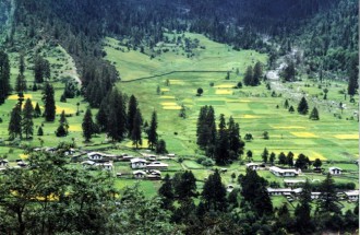 林芝鲁朗-让人不想家的地方