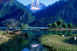 林芝米林-西藏的药州