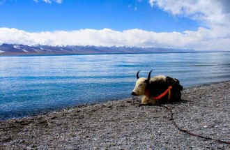 纳木措-天上的湖泊