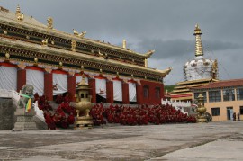 川藏南线转青藏线14日游青藏线14日游