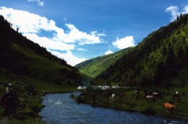 墨脱徒步8日-仙游西藏莲花宝地