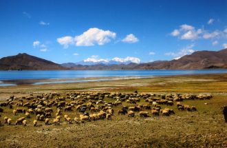 羊湖徒步6日-环游羊卓雍错